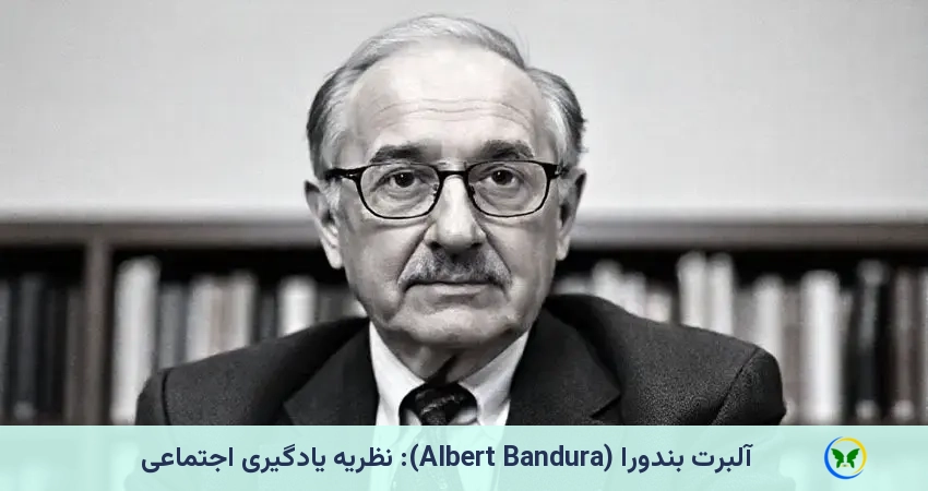 نظریه یادگیری اجتماعی