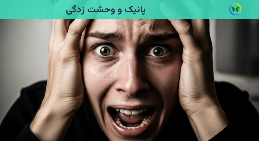 پنیک اتک
