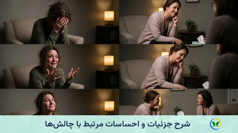 شرح جزئیات و احساسات مرتبط با چالش‌ها