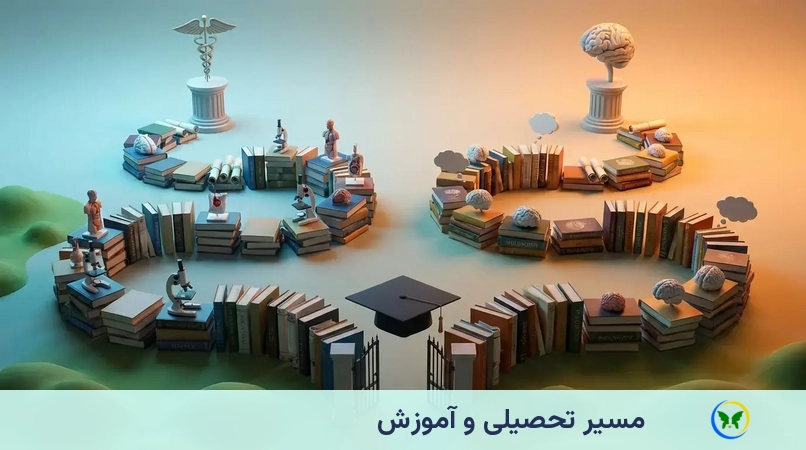 مسیر تحصیلی و آموزش