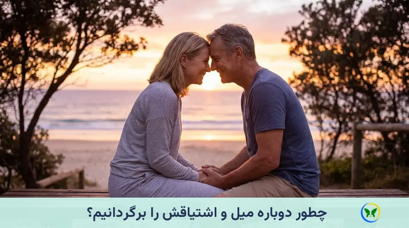 چطور دوباره میل و اشتیاقش را برگردانیم؟
